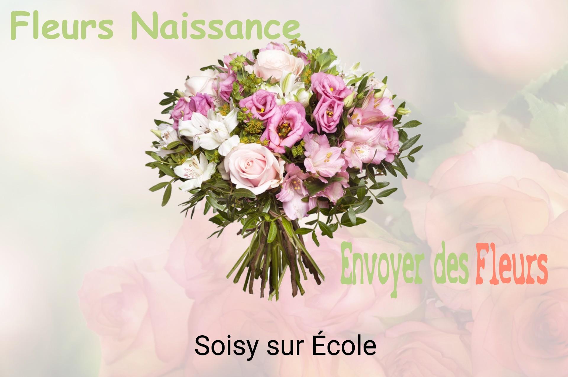Bouquet de fleurs de naissance livré à Soisy-sur-École